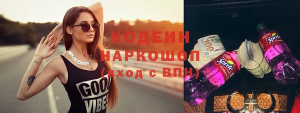 прущий лед Богданович
