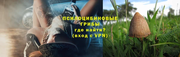 прущий лед Богданович