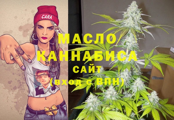 соль ск Богородицк
