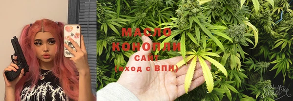 прущий лед Богданович