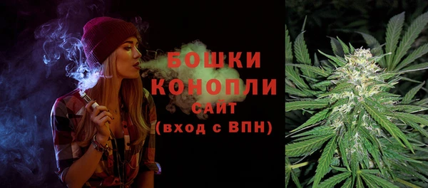прущий лед Богданович