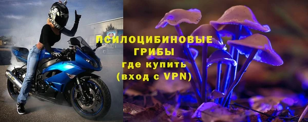 соль ск Богородицк