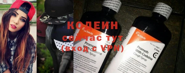 прущий лед Богданович
