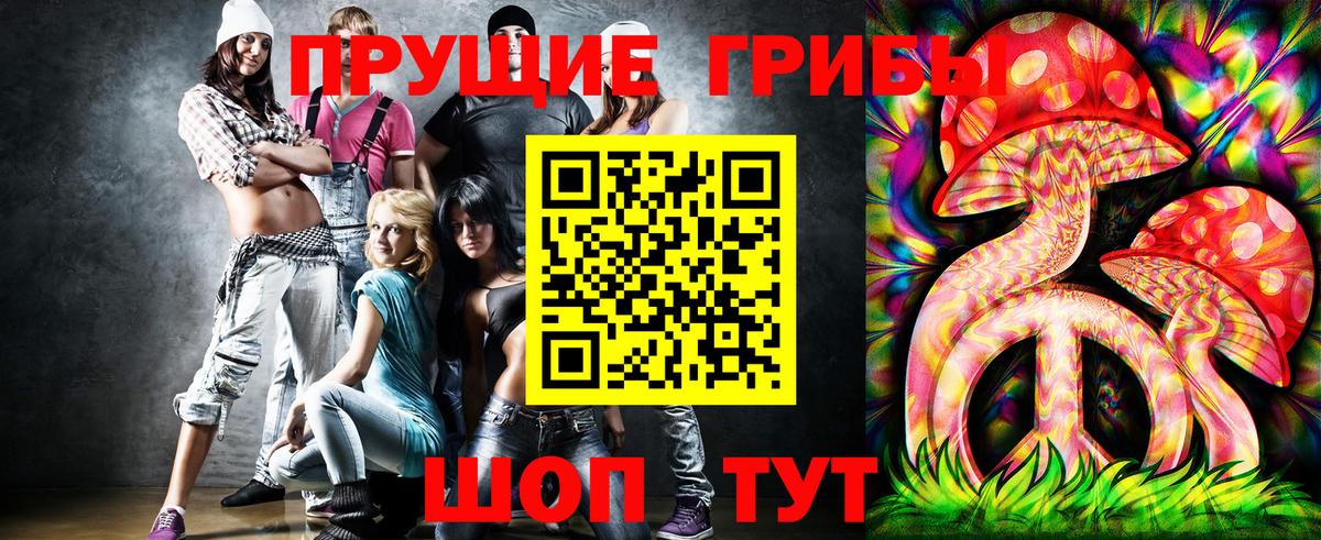 Галлюциногенные грибы Psilocybine cubensis  магазин продажи   Гудермес  Галлюциногенные грибы прущие грибы 