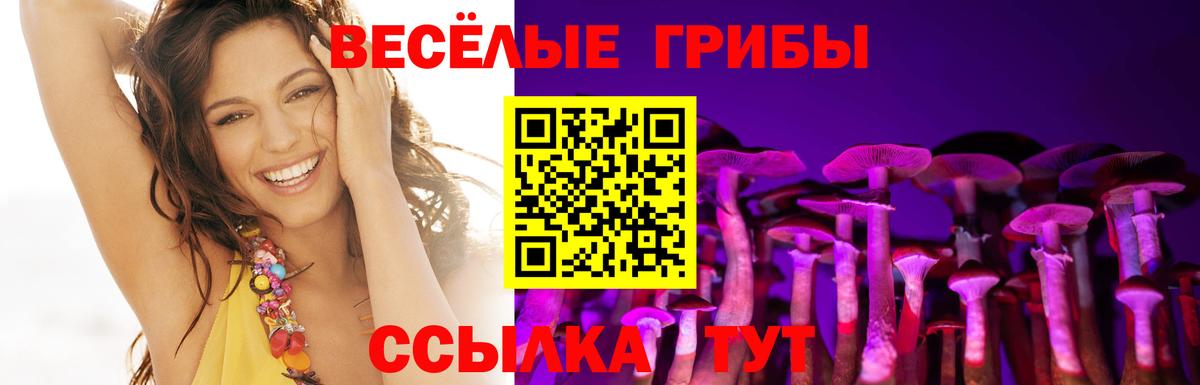 Гудермес  Псилоцибиновые грибы ЛСД  Вход с VPN 