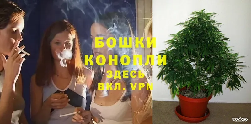 даркнет официальный сайт  Гудермес  МАРИХУАНА OG Kush 