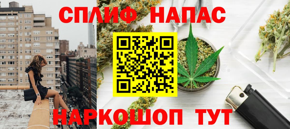 Бошки Шишки сатива Гудермес